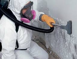 Mold Removal for HVAC Installations in Copperopolis, CA